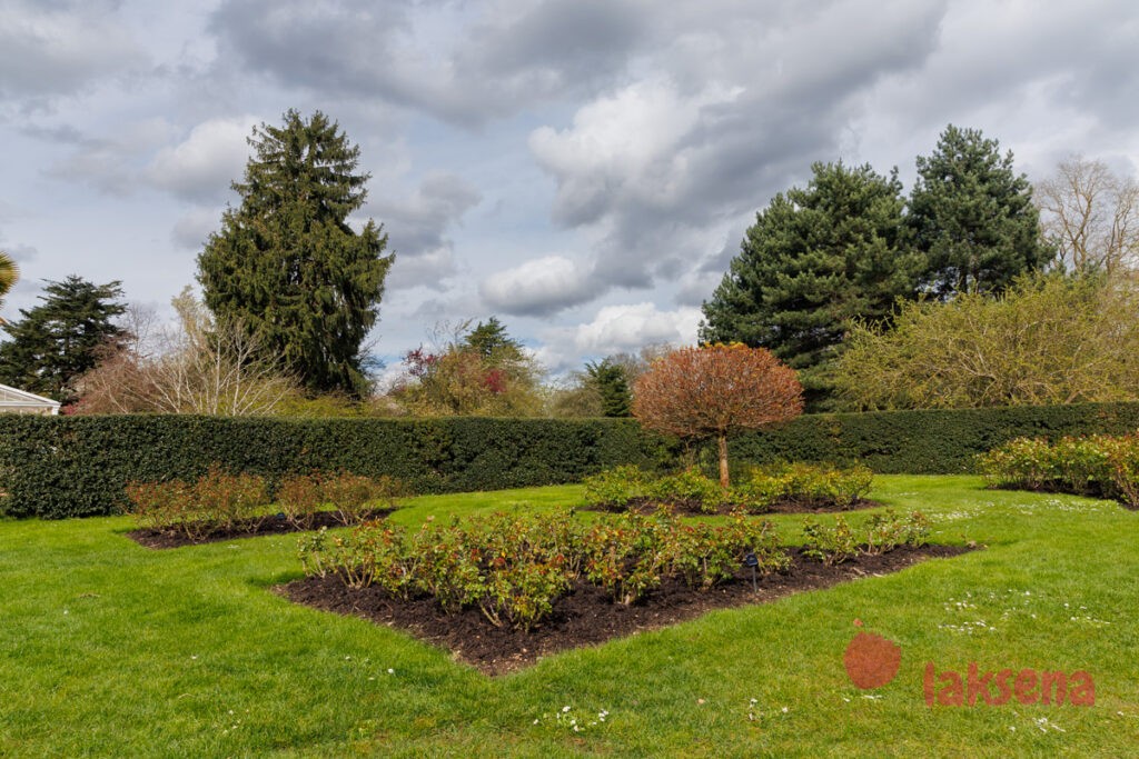 Королевские ботанические сады Кью (Kew Gardens)