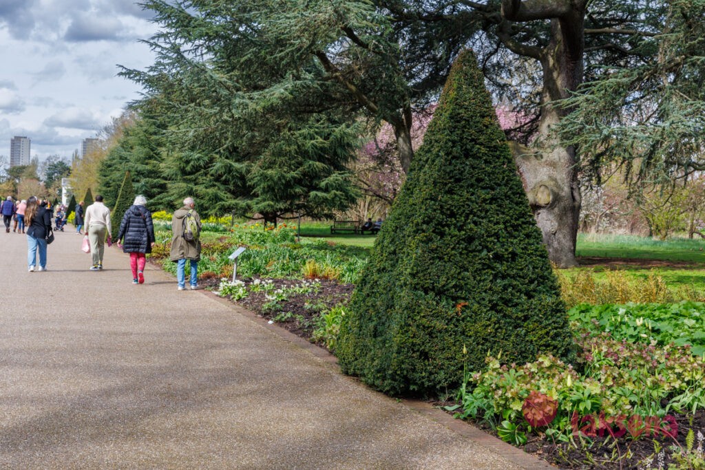 Королевские ботанические сады Кью (Kew Gardens)