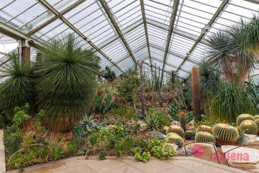 Королевские ботанические сады Кью (Kew Gardens)