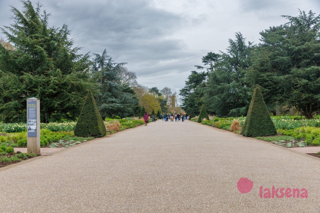 Королевские ботанические сады Кью (Kew Gardens)