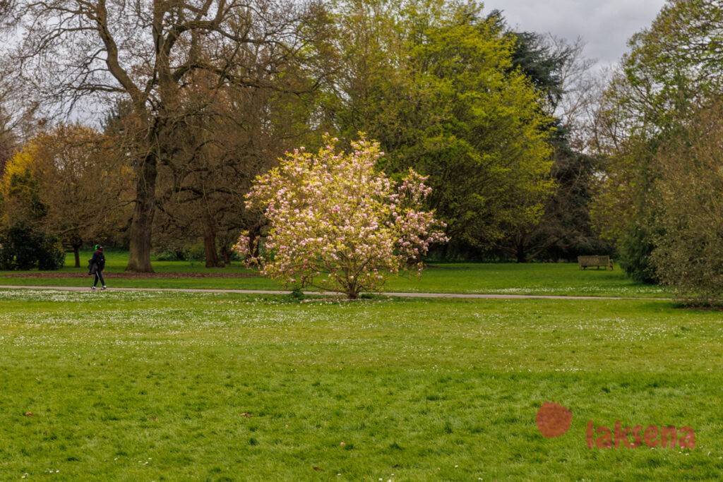 Королевские ботанические сады Кью (Kew Gardens)