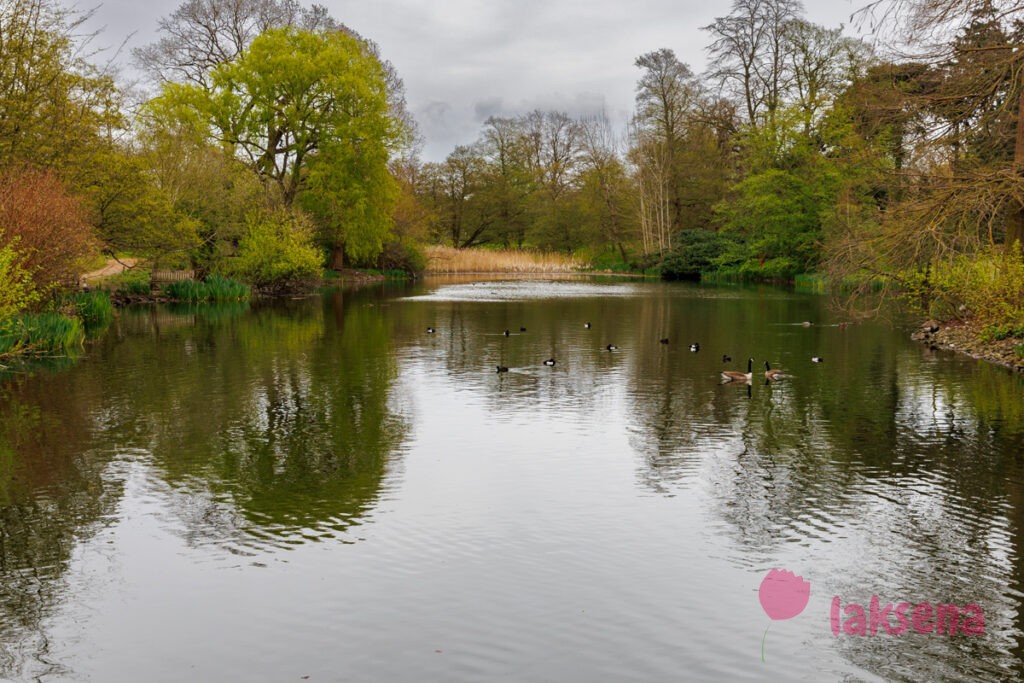 Королевские ботанические сады Кью (Kew Gardens)