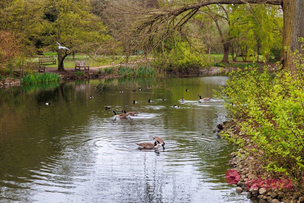 Королевские ботанические сады Кью (Kew Gardens)