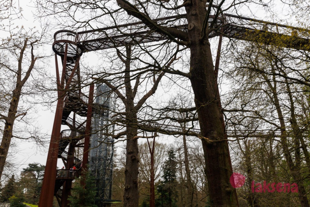 Королевские ботанические сады Кью (Kew Gardens)