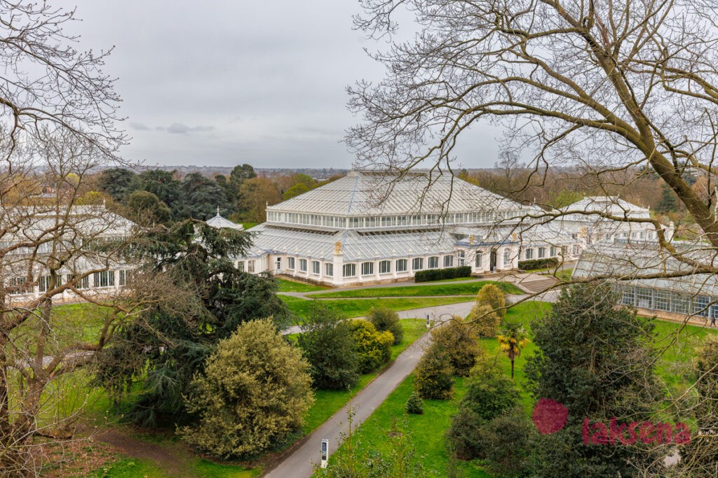 Королевские ботанические сады Кью (Kew Gardens)