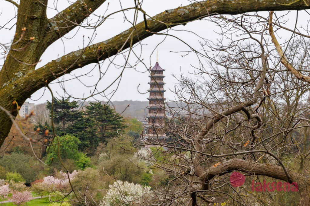 Королевские ботанические сады Кью (Kew Gardens)