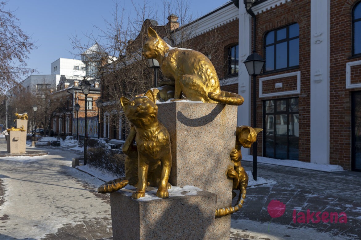 Сквер сибирских кошек