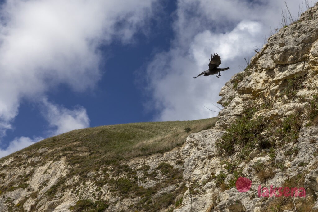 пляж Дердл-Дор (Durdle Door)