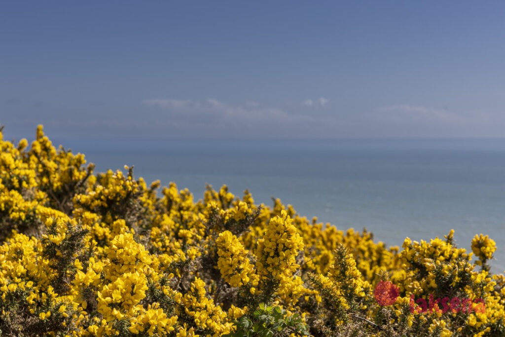Арка Дердл-Дор (Durdle Door), Англия