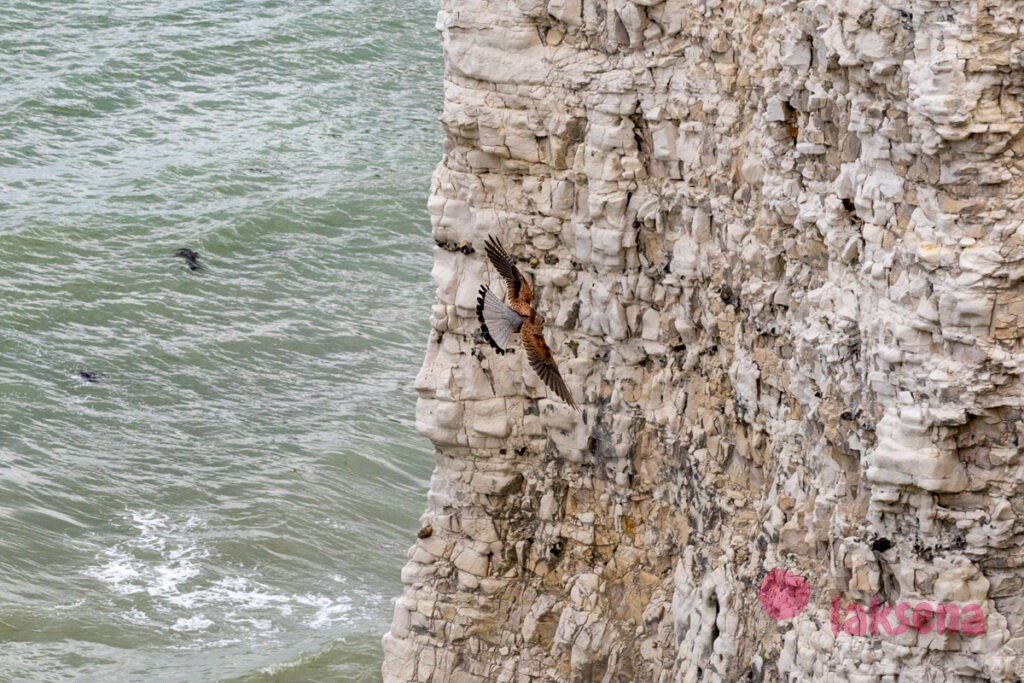 Old Harry rocks - скалы старого Гарри