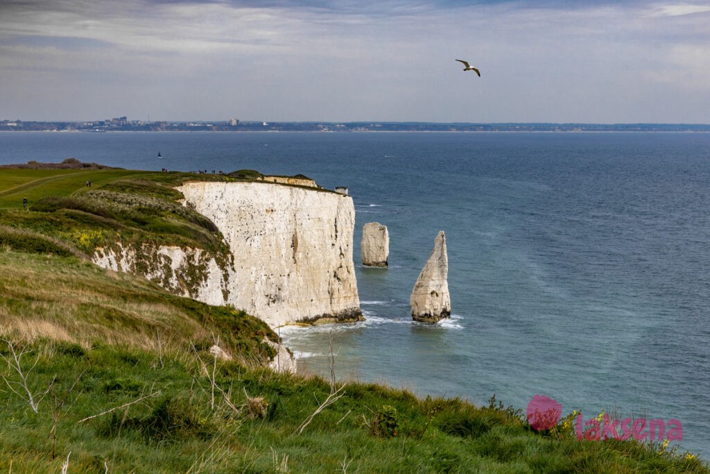 Old Harry rocks - скалы старого Гарри