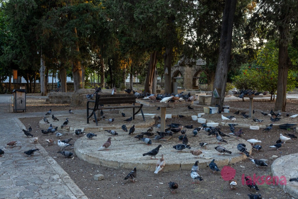 Старый город Кирении Древнее кладбище BALDOKEN