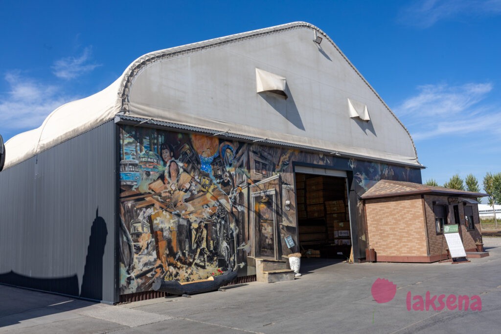 Муралы Виктора Цоя Камчатка