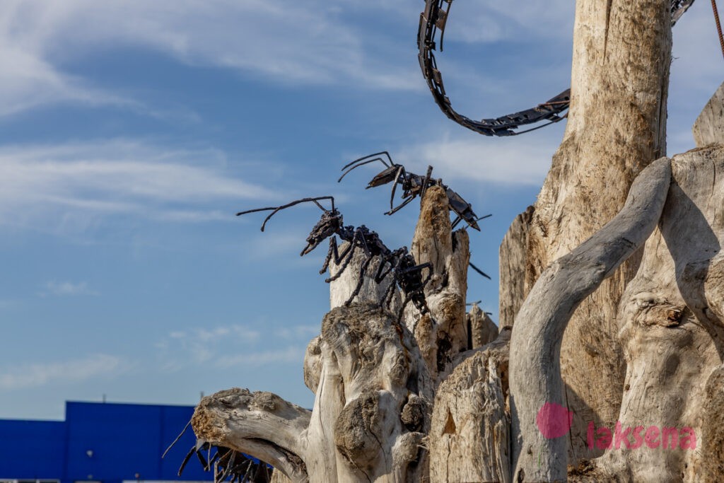 скульптуры Цой и группа Кино Муравейник