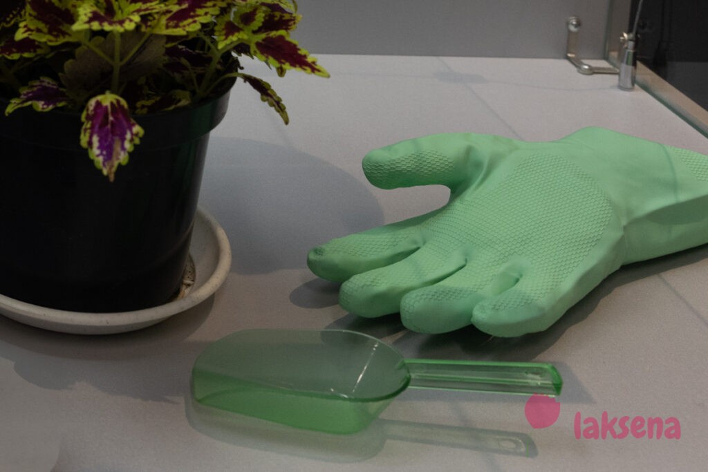 Суеверия и приметы про комнатные растения зеленая рука