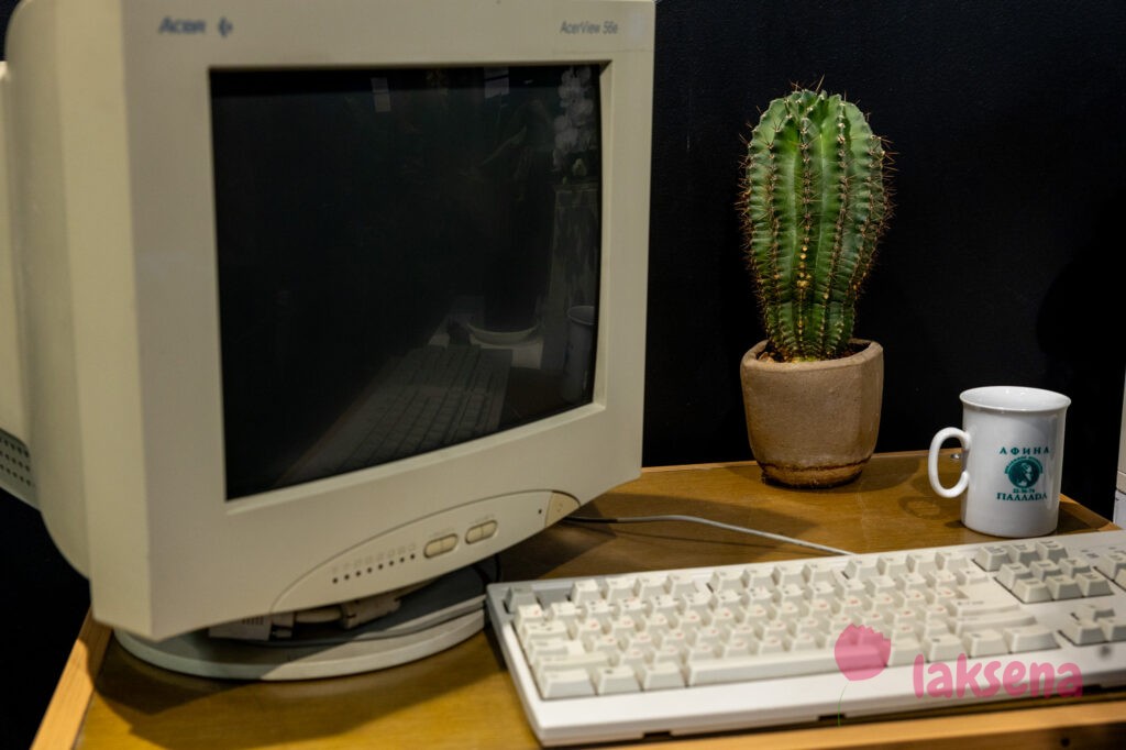 Суеверия и приметы про комнатные растения кактус