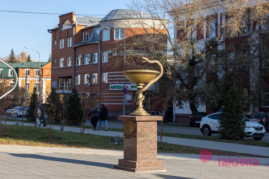 Ленинский проспект, Барнаул Медицинский университет