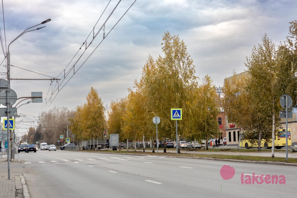 Ленинский проспект, Барнаул Аллея на Ленинском проспекте