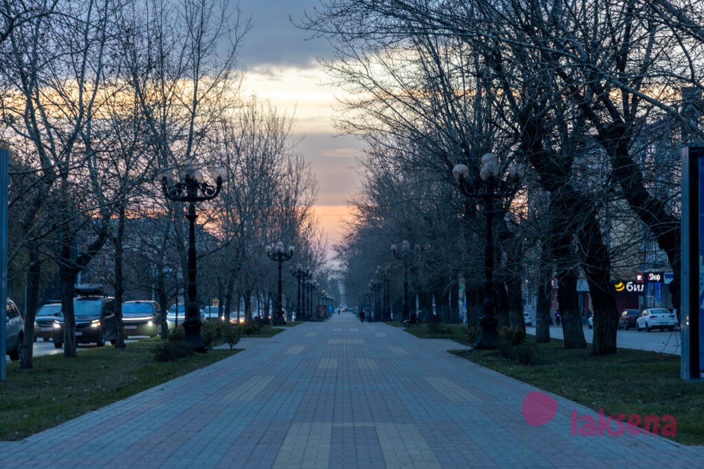 Ленинский проспект, Барнаул Аллея на Ленинском проспекте