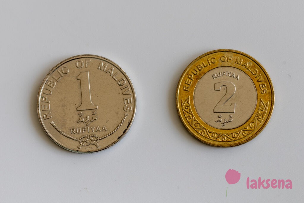 Мальдивские деньги монеты