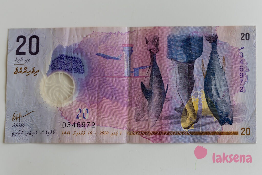 Мальдивские деньги