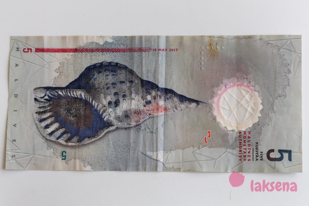 Мальдивские деньги