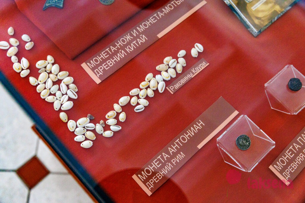 раковины каури