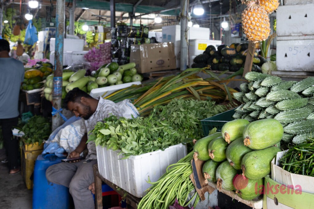 пандан на мальдивах pandanus