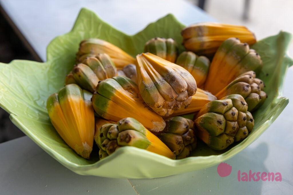 пандан pandanus