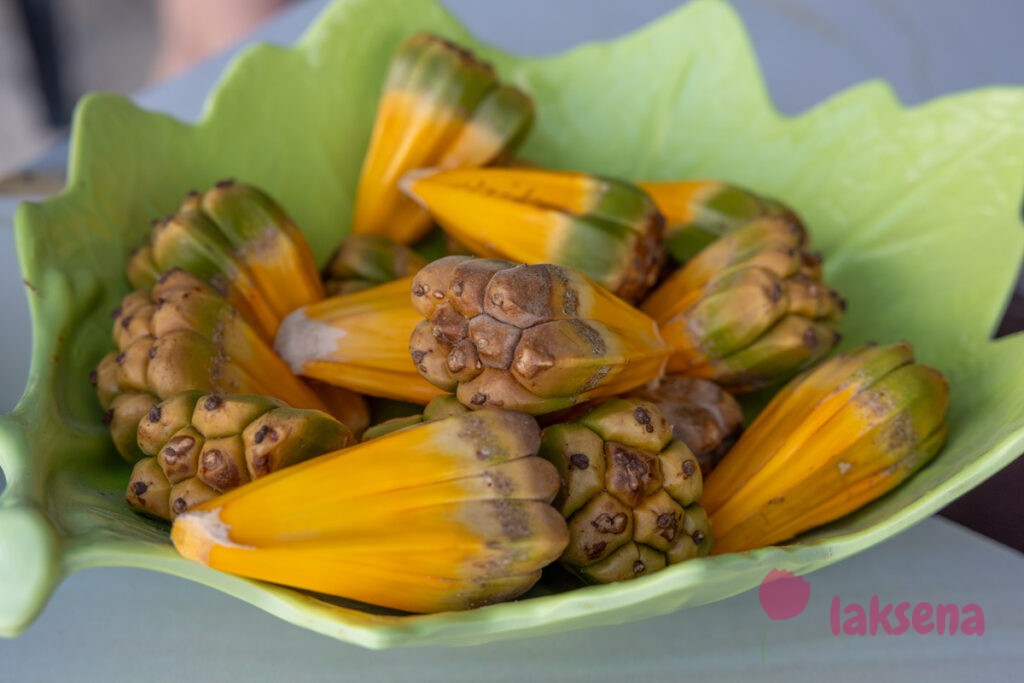 пандан pandanus