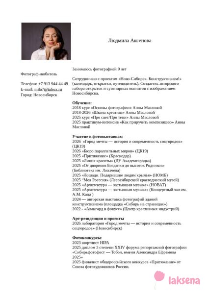 CV художника
